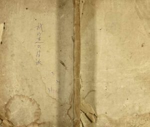 1755年修王氏武山宗谱 江西九江 湖口王姓电子版族谱下载