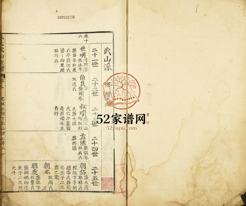 1755年修王氏武山宗谱 江西九江 湖口王姓电子版族谱下载