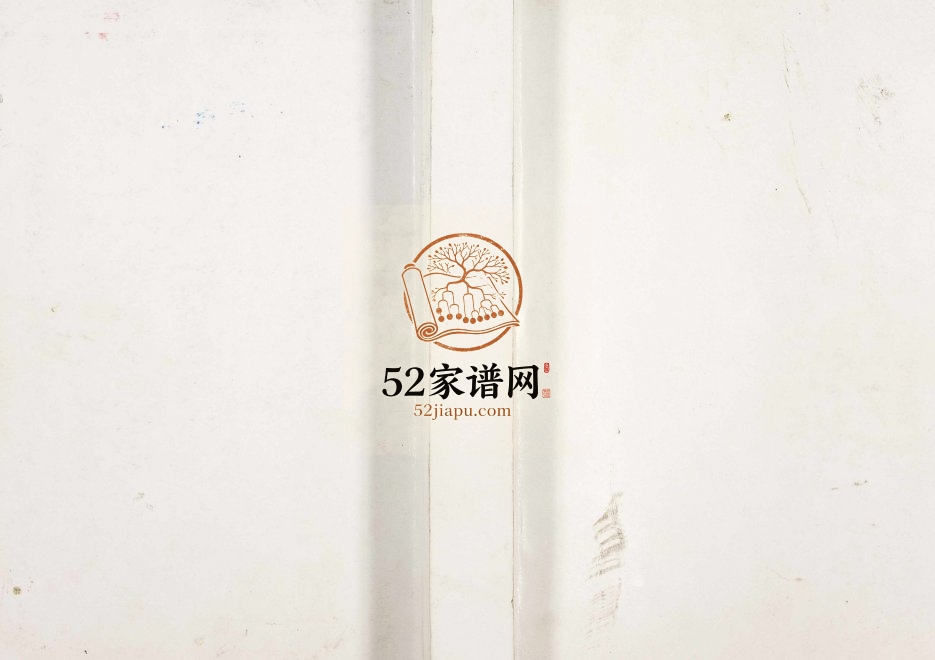 2013年九修王氏玠公族谱 湖北黄冈 英山 江西丰城王姓电子版家谱下载