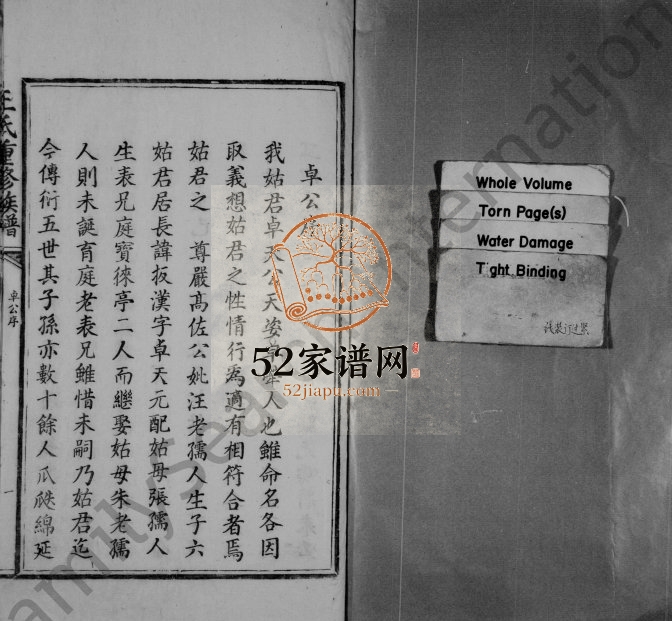 1824年王氏重修族谱 江西南康王姓电子版家谱下载