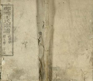 1799年修琅琊王氏宗谱[存经支卷]江西 一本堂王姓电子版族谱下载