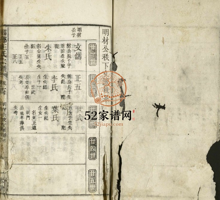 1799年修琅琊王氏宗谱[存经支卷]江西 一本堂王姓电子版族谱下载