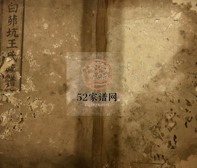 1921年修白茆坑王氏族谱 江西安福王姓电子版家谱下载