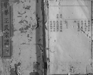 1892年修华峰王氏宗谱[2卷]江西永丰王姓电子版族谱下载