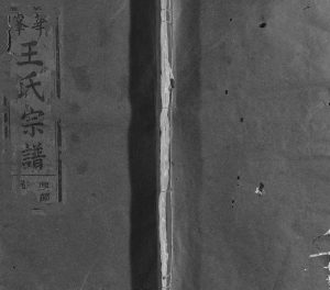 1948年修华峰王氏宗谱[4卷]江西永丰王姓电子版族谱下载