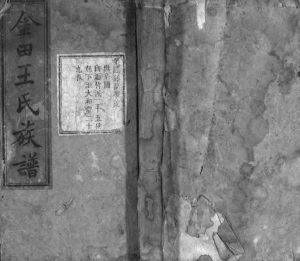 1867年重修金田王氏族谱[18卷]江西安福龙洲堂王姓电子版家谱下载