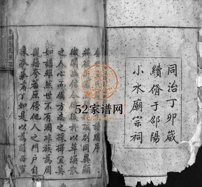 1867年重修金田王氏族谱[18卷]江西安福龙洲堂王姓电子版家谱下载
