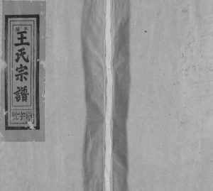 1992年重修太原王氏宗谱[不分卷]江西南丰 广信王姓电子版族谱下载