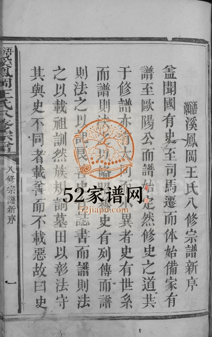 1870年浯灏溪凤冈王氏八修宗谱[不分卷]江西宁都王姓电子版族谱下载