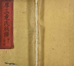 1909年厚三危氏四修族谱 江西南城 黎川 临川危姓电子版家谱下载