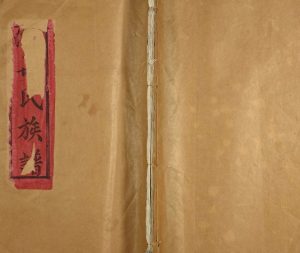1992年河东万氏十一修族谱 江西抚州万姓电子版家谱下载