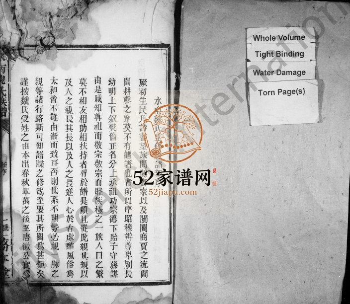 1905年修水南魏氏族谱 江西遂川务本堂魏姓电子版家谱下载