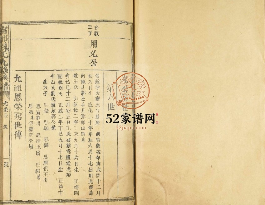 1945年宁都魏氏九修族谱 江西魏姓电子版家谱下载