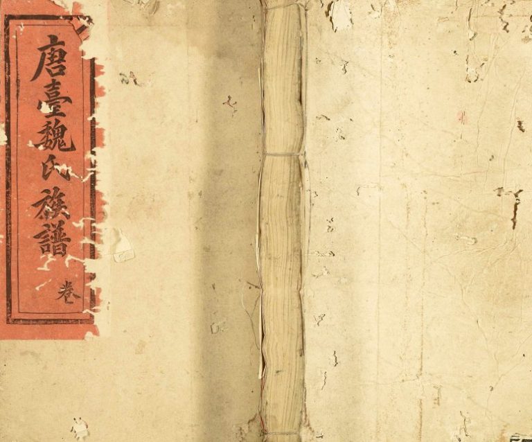 1947年石城唐台魏氏十三修谱 江西赣州魏姓电子版族谱下载