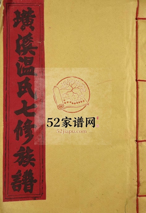 1995年璜溪温氏七修族谱 江西宁都温姓电子版家谱下载