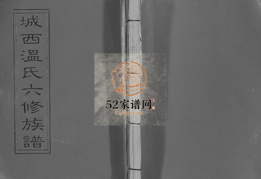 1995年城西温氏六修族谱[不分卷]江西宁都温姓电子版家谱下载