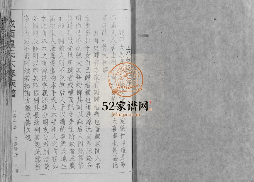 1995年城西温氏六修族谱[不分卷]江西宁都温姓电子版家谱下载