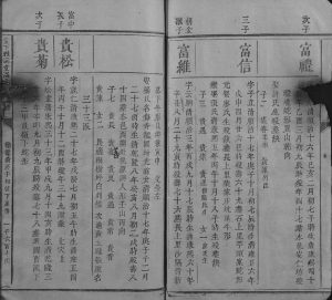 1783年堂下雅儒堂温氏七修族谱 江西石城温姓电子版家谱下载