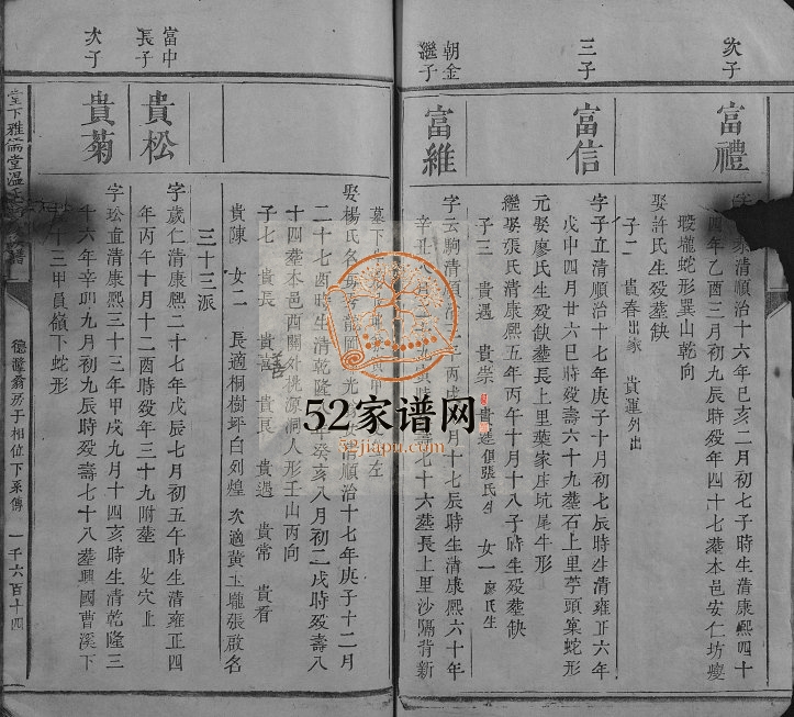 1783年堂下雅儒堂温氏七修族谱 江西石城温姓电子版家谱下载