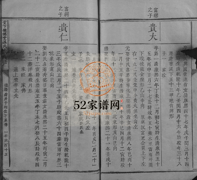 1783年堂下雅儒堂温氏七修族谱 江西石城温姓电子版家谱下载