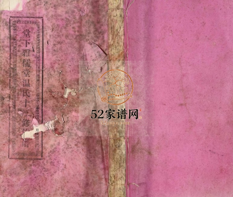 1993年堂下雅儒堂温氏十三修族谱 江西赣州 石城温姓电子版家谱下载