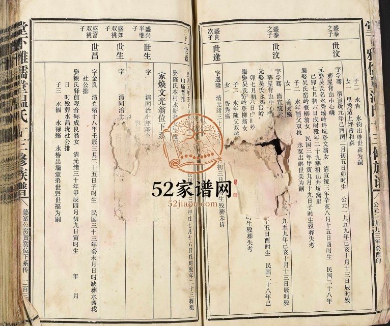 1993年堂下雅儒堂温氏十三修族谱 江西赣州 石城温姓电子版家谱下载