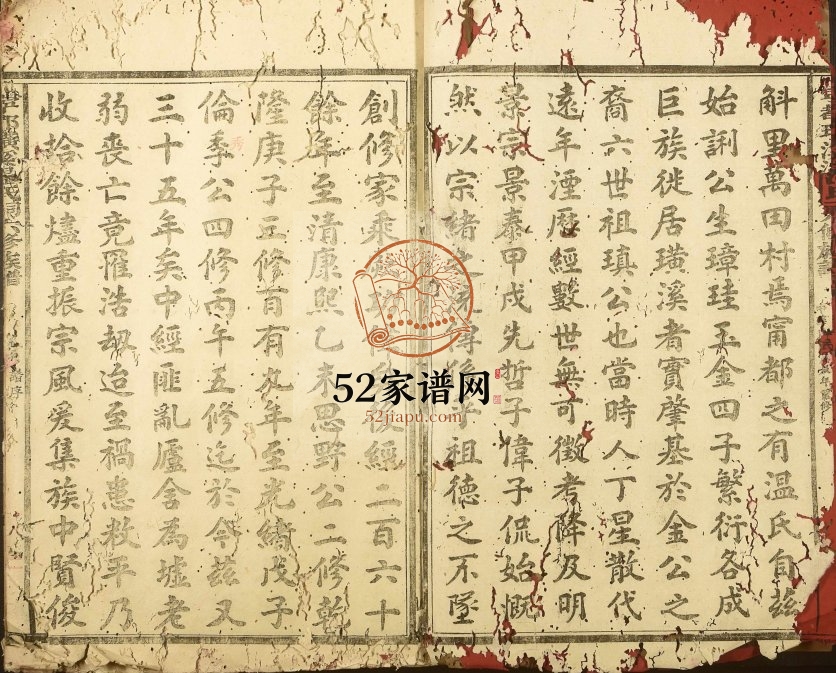 1940年宁都璜溪温祠六修族谱 江西温姓电子版家谱下载