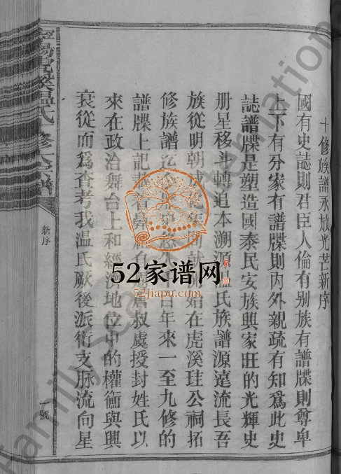 1994年宁阳虎溪温氏十修大宗谱[18卷]江西于都 宁都温姓电子版族谱下载
