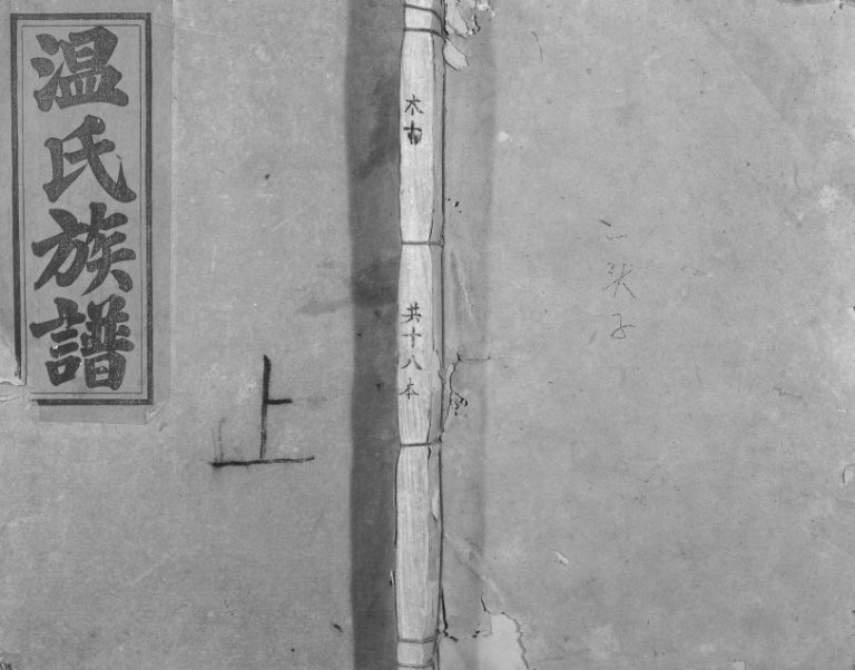 1948年温氏合修族谱[不分卷]江西赣县区 信丰太原堂温姓电子版家谱下载