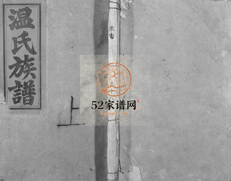 1948年温氏合修族谱[不分卷]江西赣县区 信丰太原堂温姓电子版家谱下载