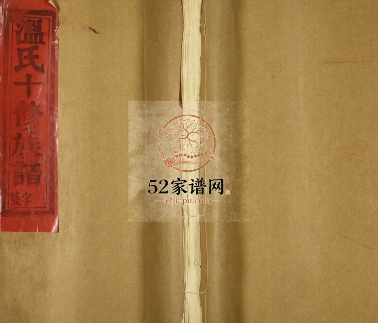 1994年石城夏亨温氏十修族谱 江西赣州温姓电子版家谱下载