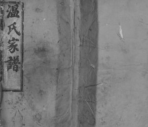 1900年石城联芳温氏十二修族谱 江西温姓电子版家谱下载