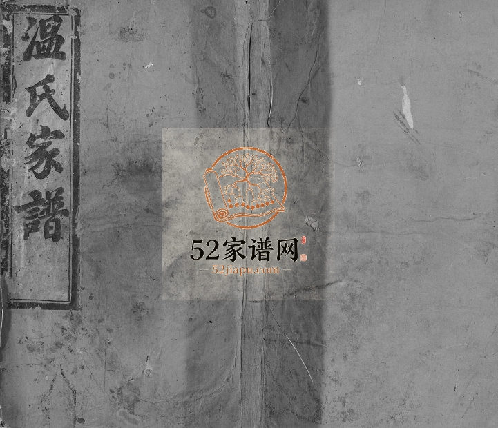 1900年石城联芳温氏十二修族谱 江西温姓电子版家谱下载