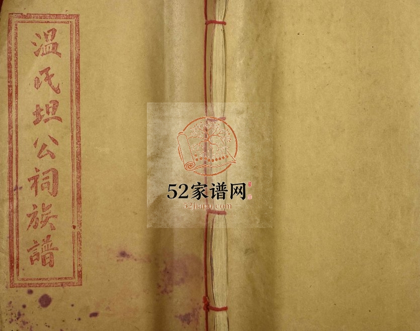 1944年联坊温氏坦祠十四修族谱[9卷含卷首]江西石城温姓电子版家谱下载