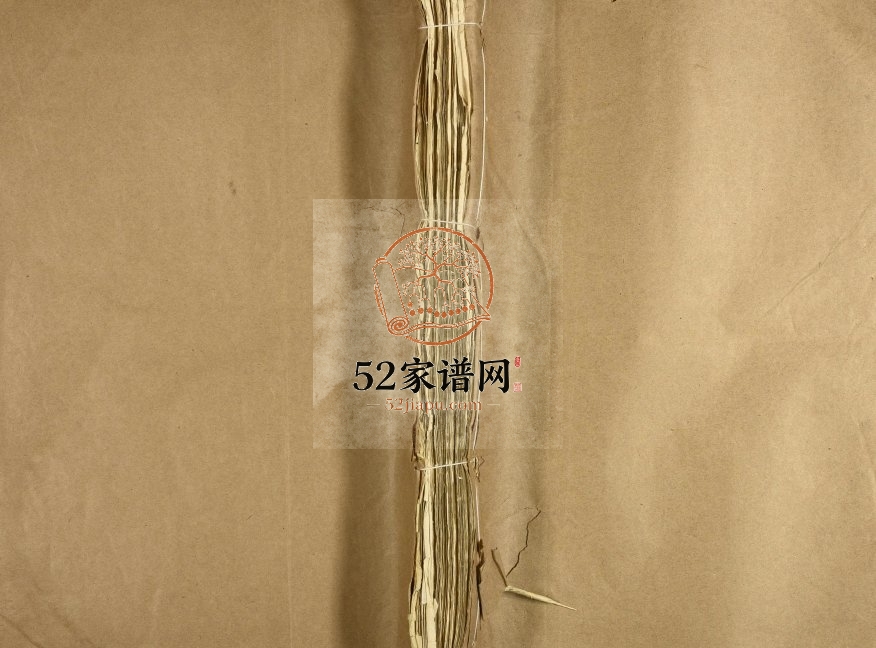 1947年雩阳虎溪温氏九修大宗谱 江西于都温姓电子版族谱下载