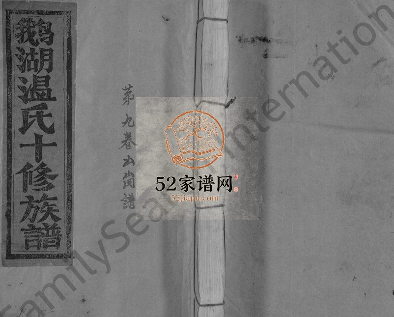 1994年鹅湖温氏十修族谱[不分卷]江西宁都温姓电子版家谱下载