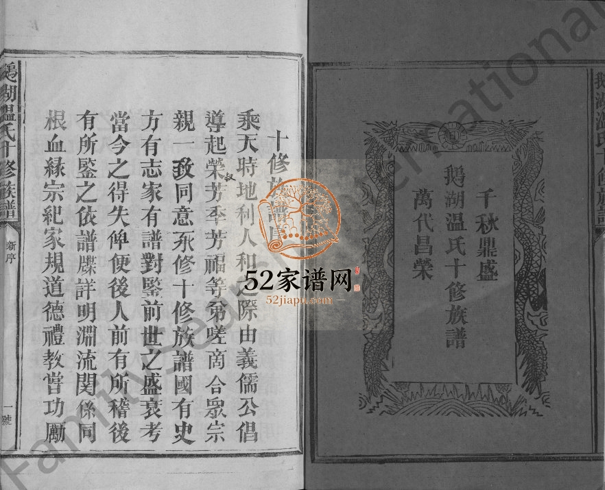 1994年鹅湖温氏十修族谱[不分卷]江西宁都温姓电子版家谱下载