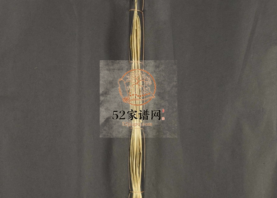1942年石城双井温氏十修族谱[19卷及卷上下]江西宁都 福建宁化 上杭及长汀雅儒堂温姓电子版家谱下载