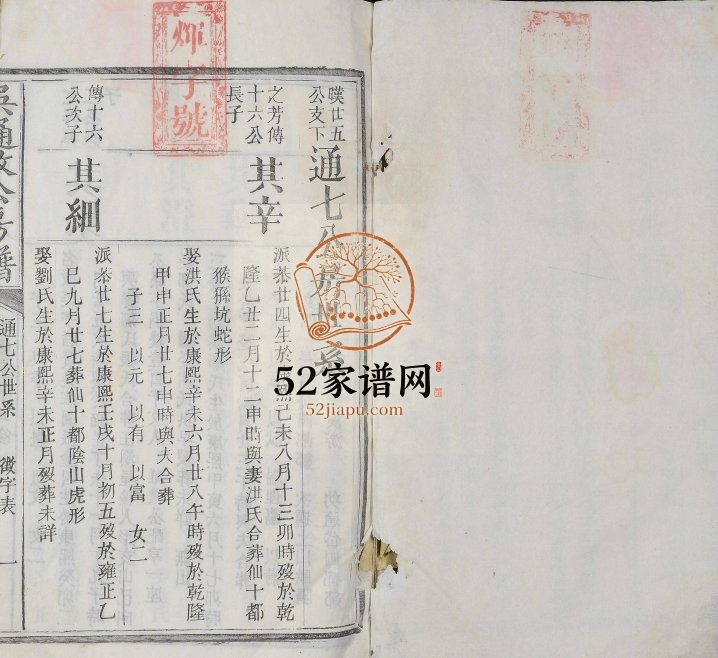 1894年五修吴通政公房谱[不分卷]江西宜黄 临川 南丰电子版族谱下载