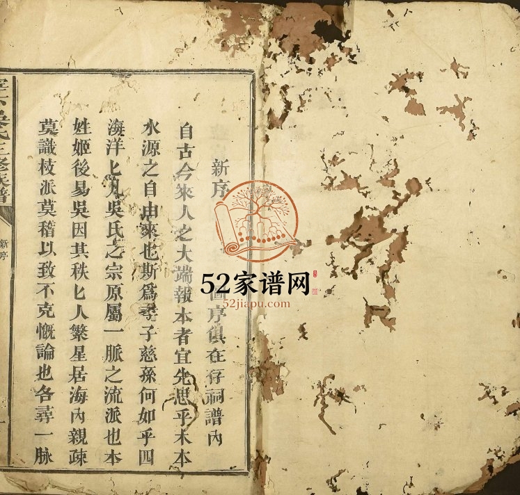 1888年宰下吴氏三修族谱 江西赣州 石城吴姓电子版家谱下载