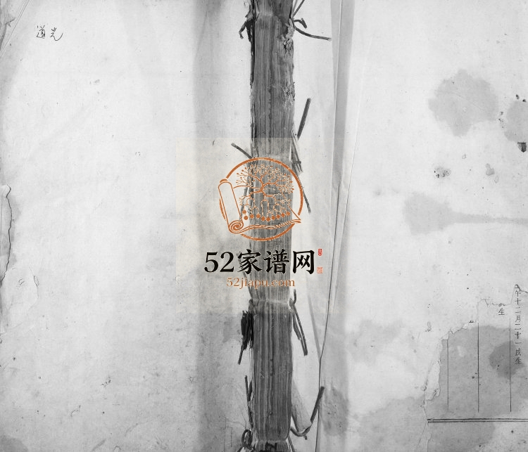 1836年永丰中沙吴氏九修族谱 江西吴姓电子版家谱下载