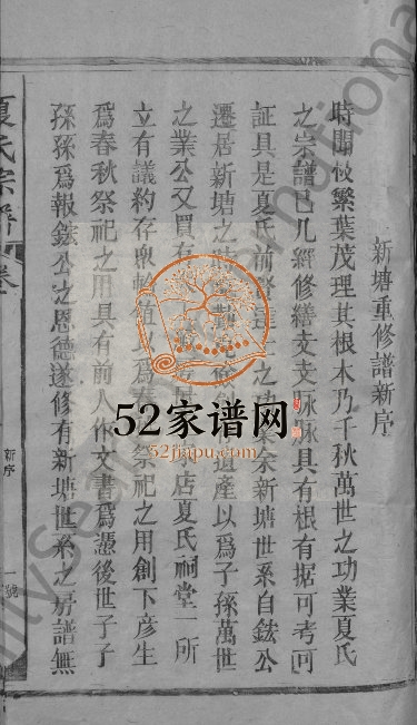 1994年修夏氏宗谱 江西广信夏姓电子版族谱下载