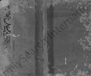 1873年修丰庆夏氏宗谱[6卷]江西永丰夏姓电子版族谱下载