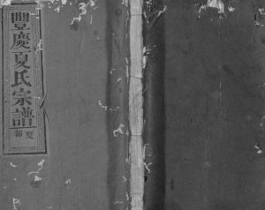 1920年修丰庆夏氏宗谱[8卷]江西永丰夏姓电子版族谱下载