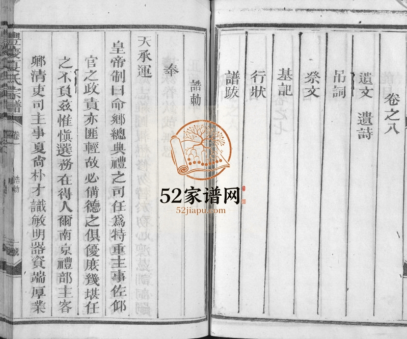 1920年修丰庆夏氏宗谱[8卷]江西永丰夏姓电子版族谱下载