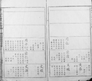 1829年修泰和旗山萧氏族谱 江西泰和县萧姓电子版家谱下载