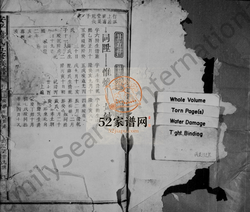洋湖萧氏五修族谱[残卷]江西吉安 泰和 安徽太和萧姓电子版家谱下载