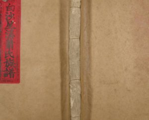 1924年修白沙星溪萧氏族谱 江西泰和萧姓电子版家谱下载
