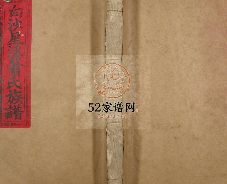 1924年修白沙星溪萧氏族谱 江西泰和萧姓电子版家谱下载