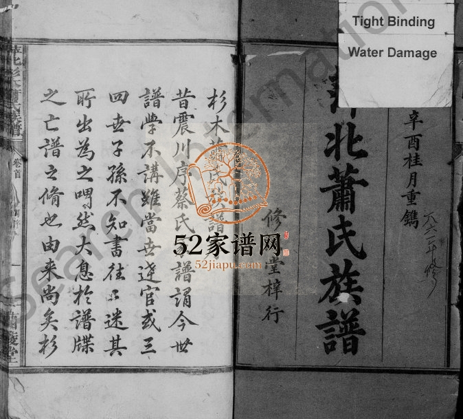 1861年修萍北杉木萧氏族谱[3卷首1卷]江西萍乡兰陵堂萧姓电子版家谱下载